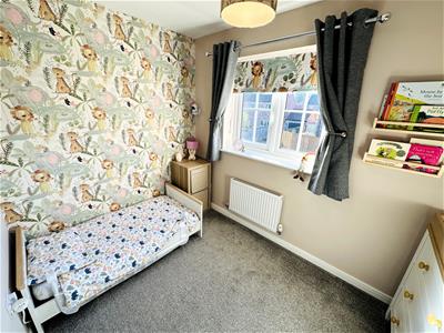 Picture 11